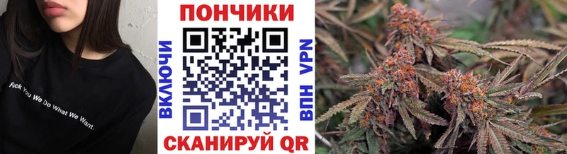 Купить где  Озёры  Канабис Amnesia 